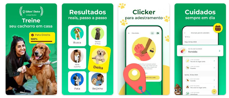 treinamento de cães