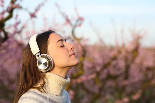 apps de musica